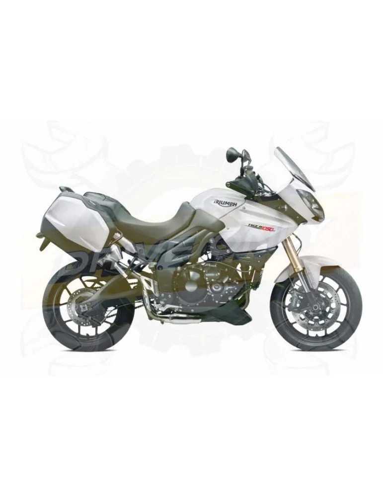 Silencieux sport Dominator : Tiger 1050 2006 - 2012