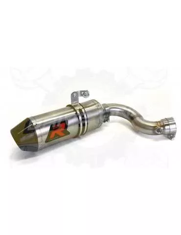 Silencieux + Décatalyseur sport Dominator : MT 09 2009 - 201x