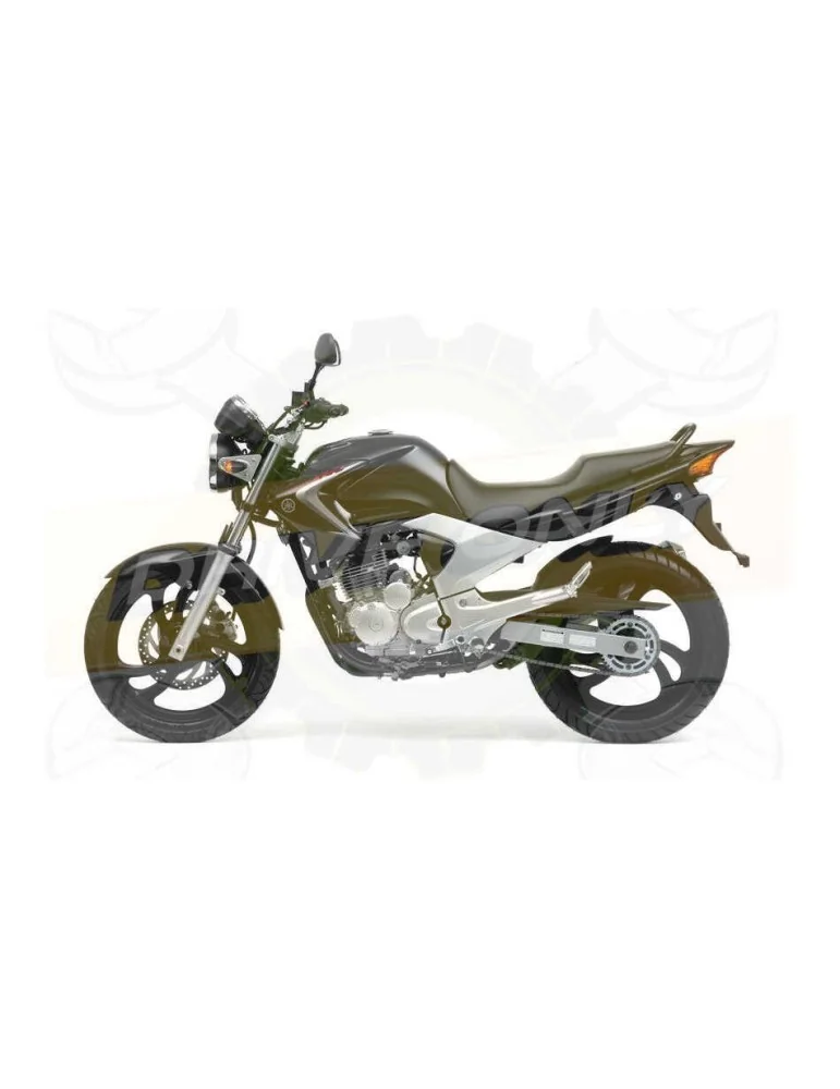 Silencieux sport Dominator : YBR 250 2007 - 2016