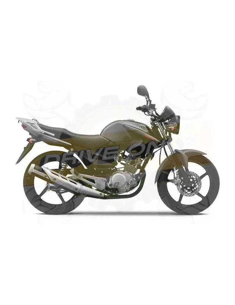 Silencieux + Ligne sport Dominator : YBR 125 2009 - 201X