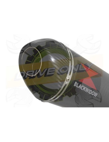 VFR800F VFR 800 2014-2017 (RC79) Exhaust tube de raccord et Ovale En Carbone Silencieux + Carbon Tip 300mm