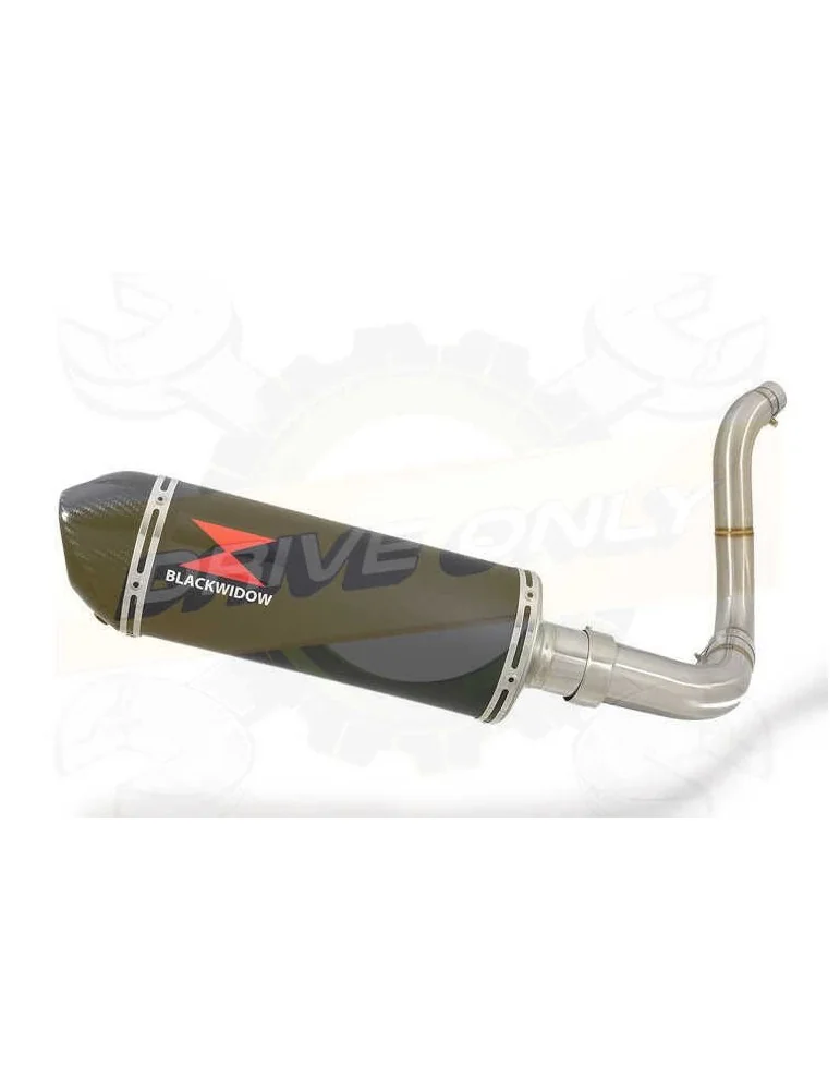KTM 125 Duke 2011-2016 Silencieux Kit / Silencieux  Ovale Noir en Inox + Canule en Carbone 300mm 