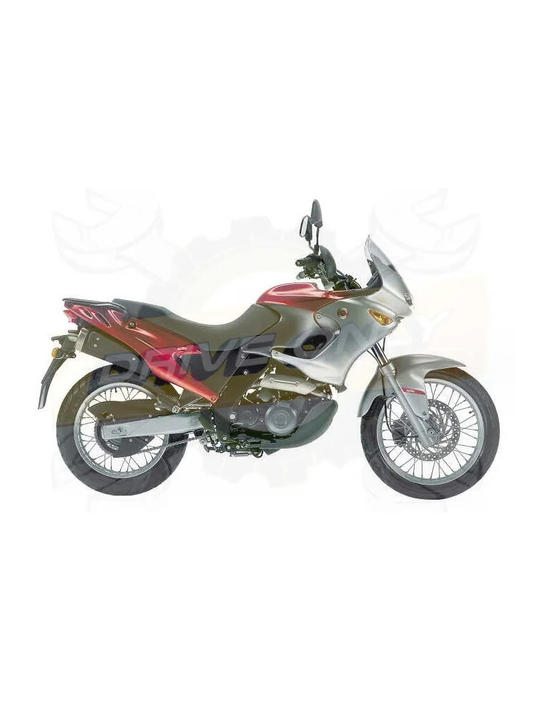 Silencieux sport Dominator : Pegaso 650 2001 - 2004