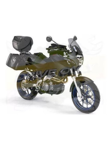 Silencieux sport Dominator : Pegaso 650 Strada  2005 - 2006