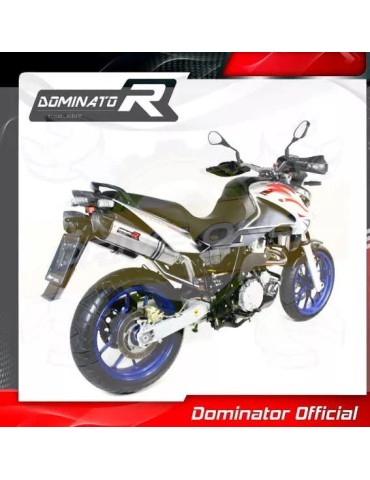 Silencieux sport Dominator : Pegaso 650 Strada  2007 - 2010