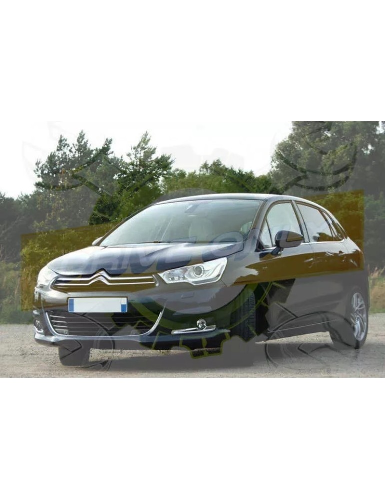 Pack Clignotant arrière LED pour Citroen C4 Picasso I - France-Xenon