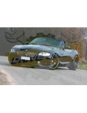 Ampoules Xénon de remplacement pour BMW Z4 E85, 2003-2009