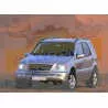 Ampoules Xénon de remplacement pour Mercedes Classe M W163, 1997-2005