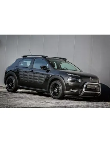 Kit xénon Citroën C4 Cactus
