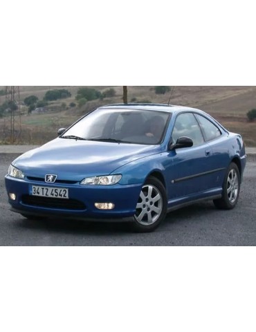 Kit xénon Peugeot 406