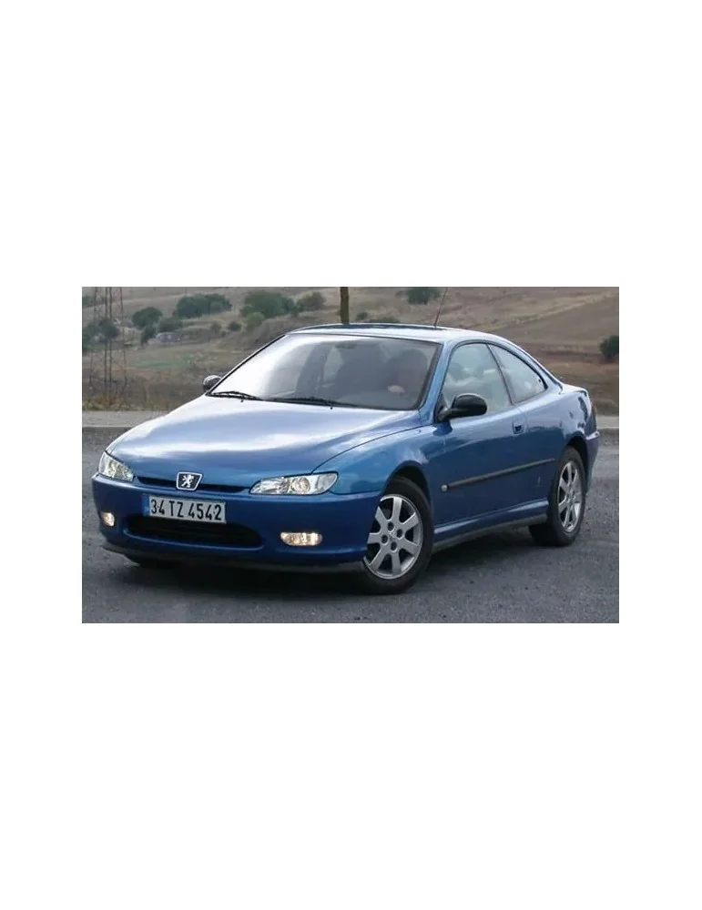 Kit xénon Peugeot 406