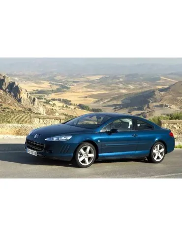 Kit xénon Peugeot 407