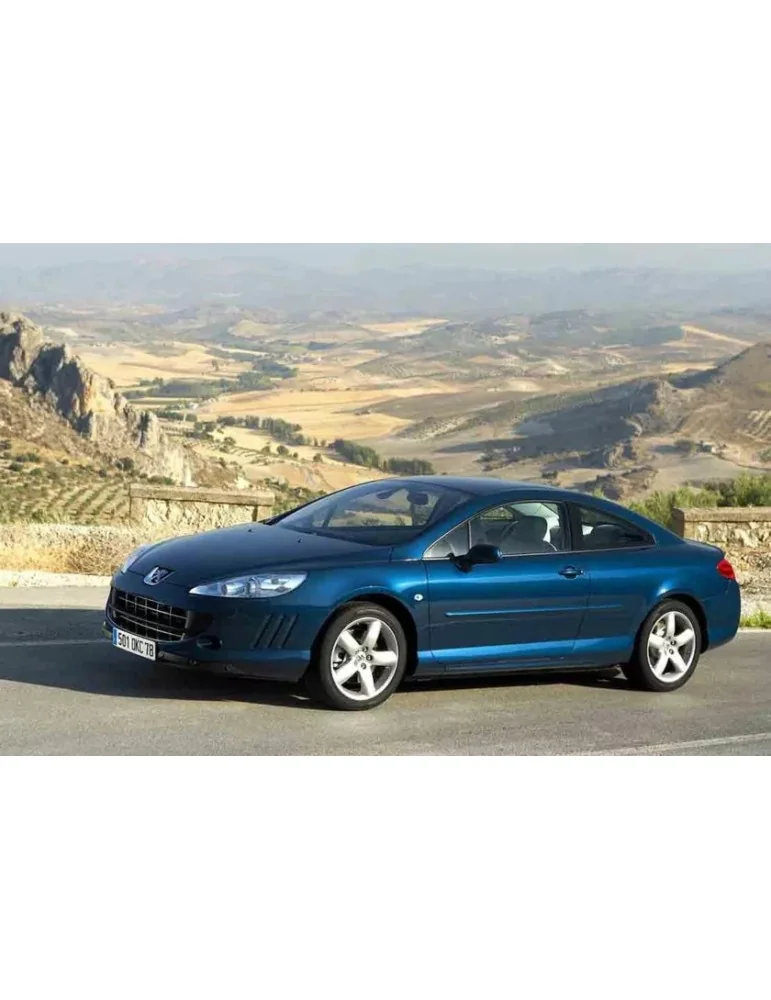 Kit xénon Peugeot 407