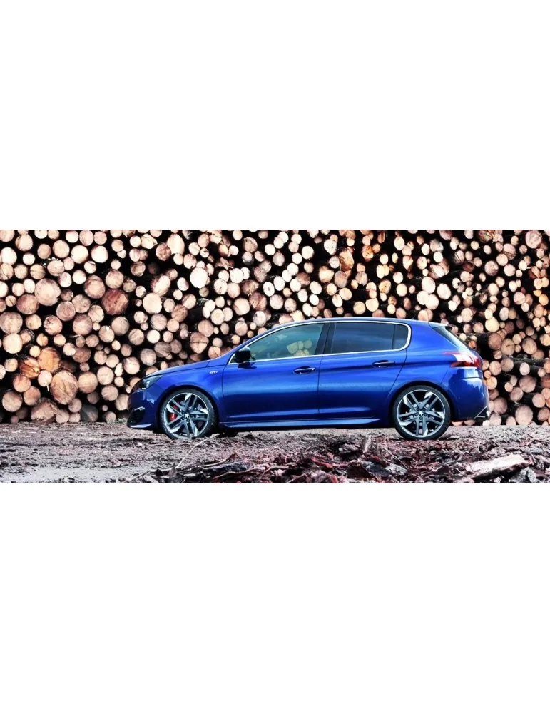 Kit xénon Peugeot 308 II