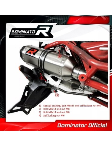 Silencieux sport Dominator : Multistrada DS 1100 2007 - 2009