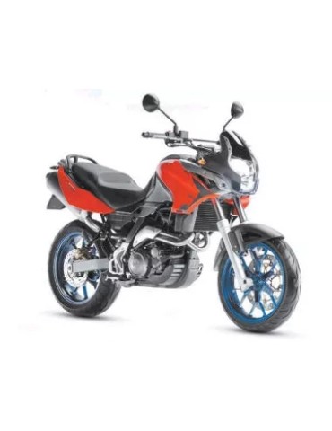 Silencieux sport Dominator : Pegaso 650 Strada 2007 - 2010