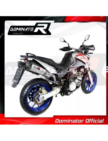 Silencieux sport Dominator : Pegaso 650 Strada 2007 - 2010