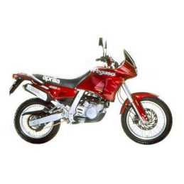 Silencieux sport Dominator : Pegaso 650 GA 1992 - 1996