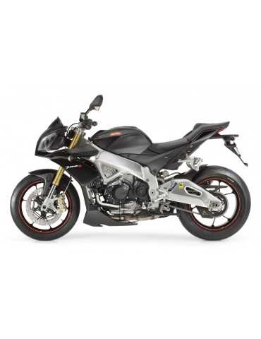 Silencieux sport Dominator : Tuono V4 1100 RR / APRC 2009 - 2014