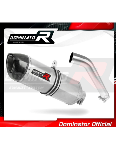 Silencieux sport Dominator : F750GS 2012 - 2017