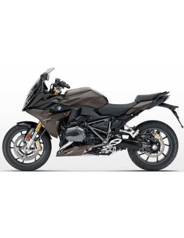 Silencieux sport Dominator : R 1200 RS 2015 - 2018