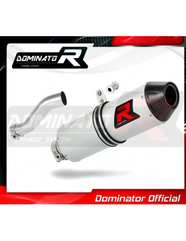 Silencieux sport Dominator Carbone  : Renegade 800