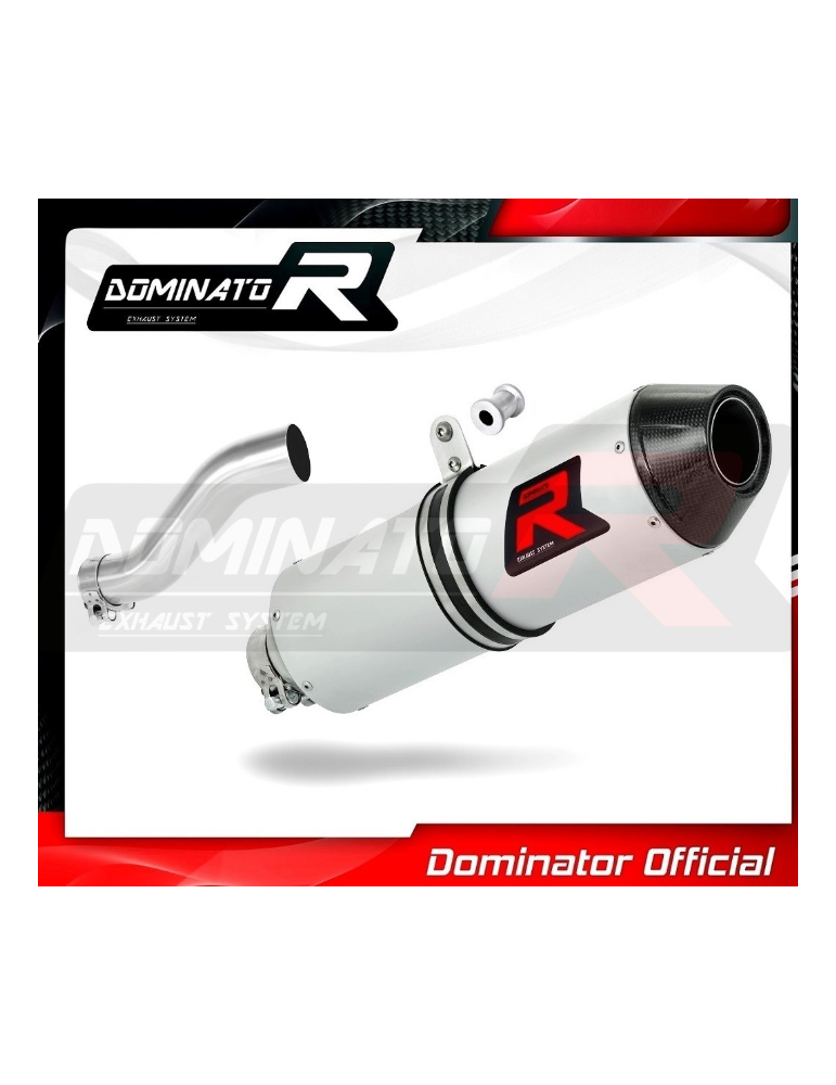 Silencieux sport Dominator Carbone  : Renegade 800