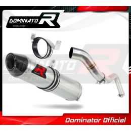 Silencieux sport Dominator : CBR 600 RR 2005 - 2006