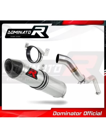 Silencieux sport Dominator : CBR 600 RR 2005 - 2006