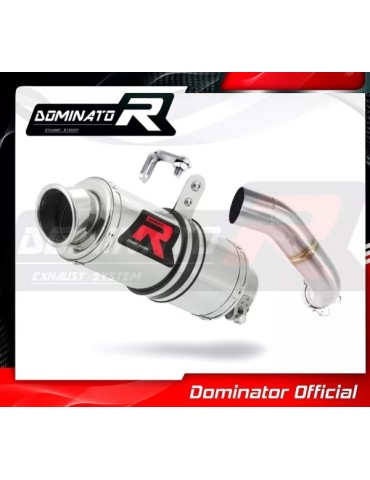 Silencieux sport Dominator : CB 1000 R 2008 - 2017