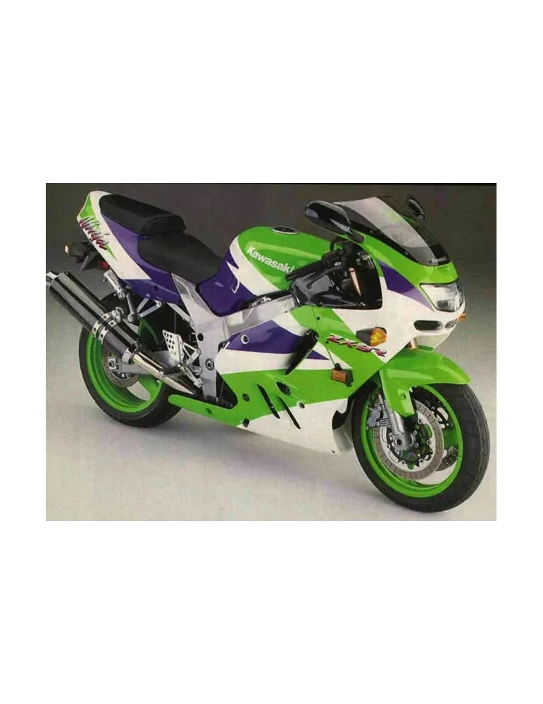Silencieux sport Dominator : ZX9R Ninja 1994 - 2002