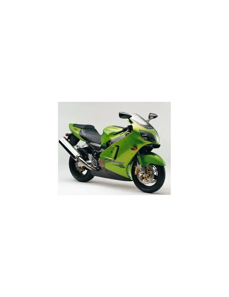 Silencieux sport Dominator : ZX12R Ninja 2000 - 2005
