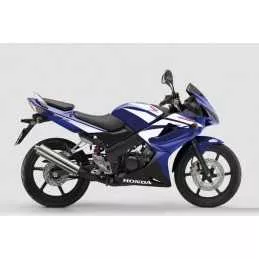 Silencieux sport Dominator...