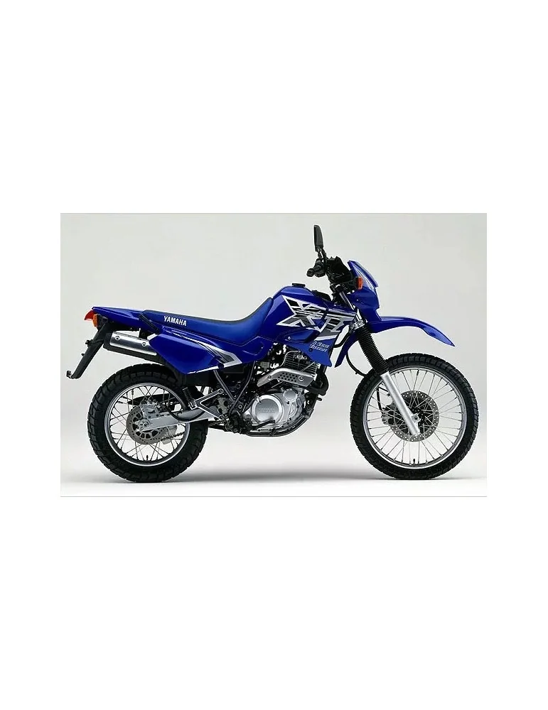 Silencieux sport Dominator : XT 600 1990 - 2005