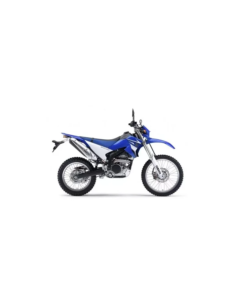 Silencieux sport Dominator : TTR 250 1999 - 2006