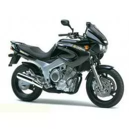 Silencieux sport Dominator...