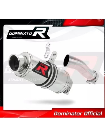Silencieux sport Dominator : S1000RR 2012 - 2014