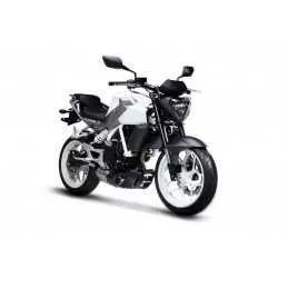 Silencieux sport Dominator...
