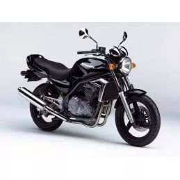 Silencieux sport Dominator...