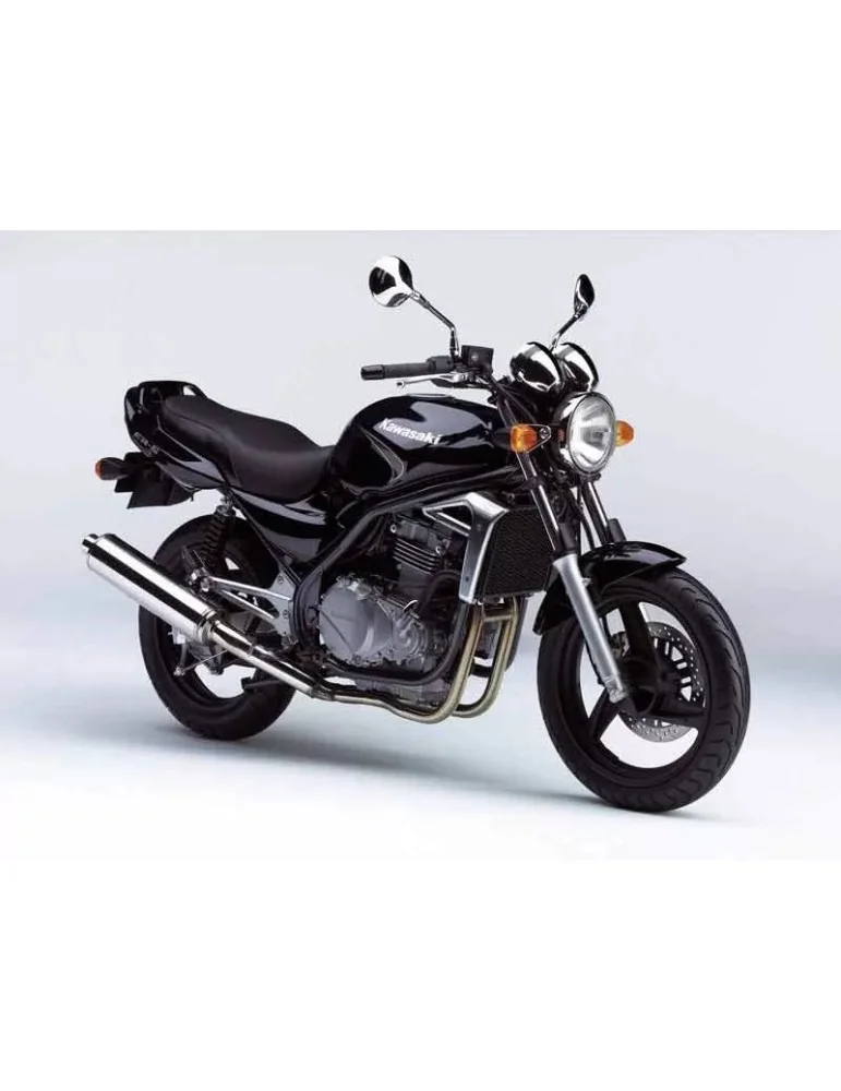 Silencieux sport Dominator : ER5 1996 - 2002