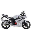 Silencieux sport Dominator : Roadsport / Roadtwin R 125 2010 - 2016