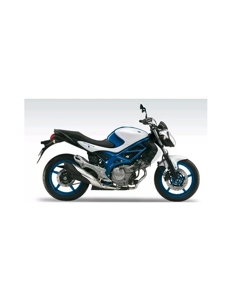 Silencieux sport Dominator : SVF Gladius 650 2009 - 2016