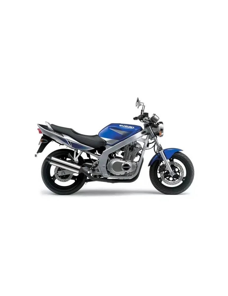 Silencieux sport Dominator : GS 500 1988 - 2002