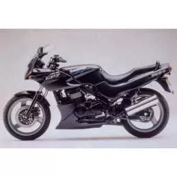 Silencieux sport Dominator...
