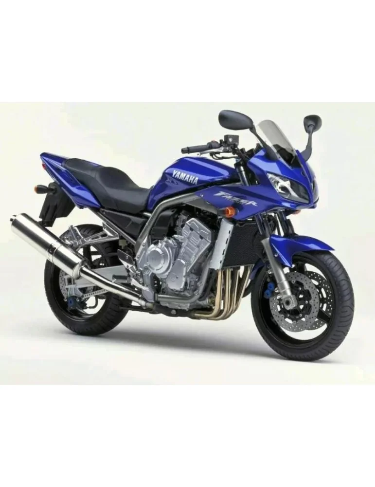Silencieux sport Dominator : FZS 1000 Fazer 2001 - 2005