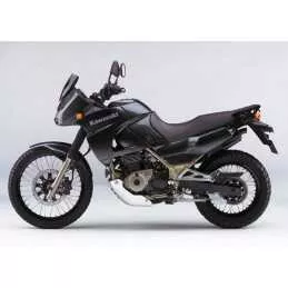 Silencieux sport Dominator...