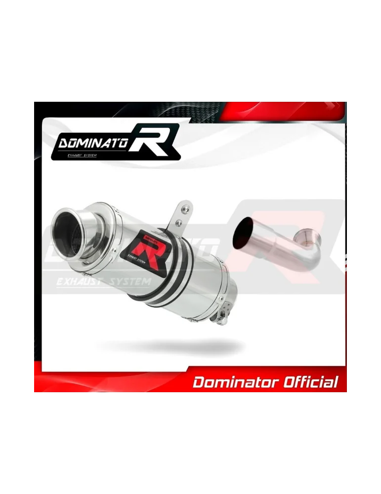 Silencieux sport Dominator : Duke 125 2017 - 2019