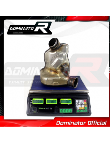 Décatalyseur / Décat sport Dominator : 790 Duke Standard / R 2018 - 2020