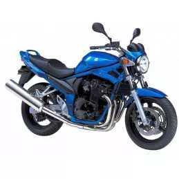 Silencieux sport Dominator...