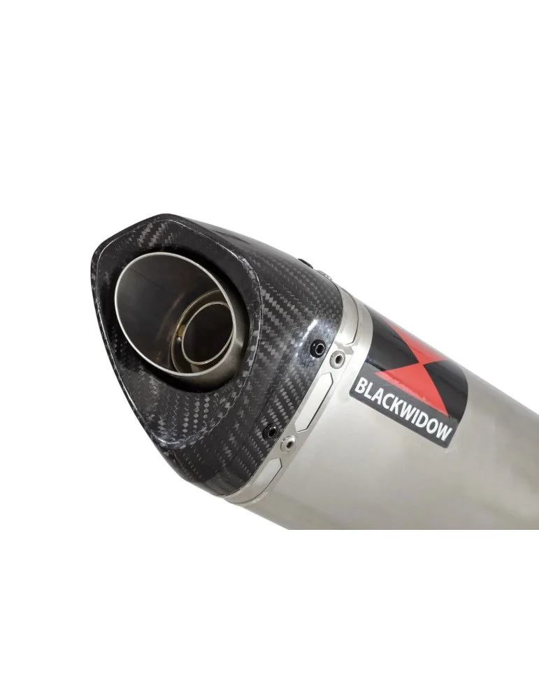  Tri Ovale En Inox Silencieux & En Carbone Tip 250mm